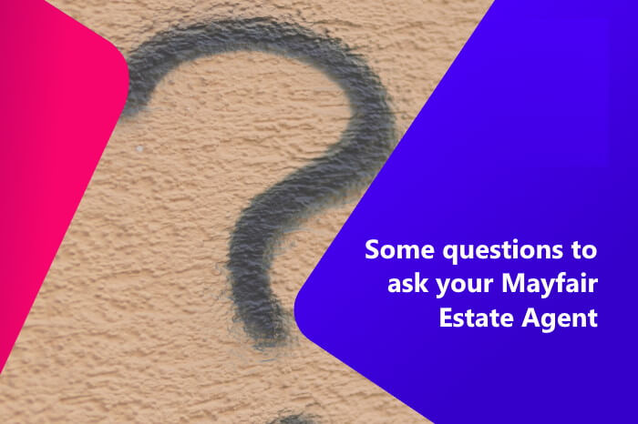Questions to ask your estate agent