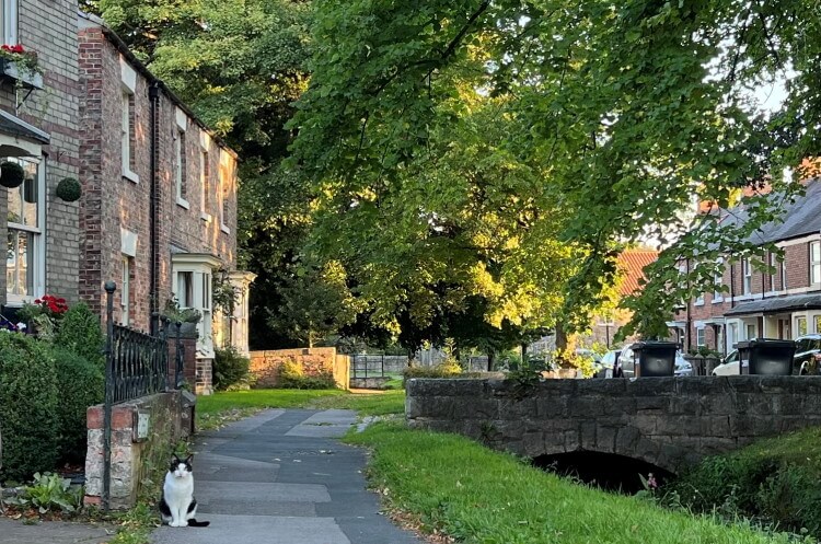 Selling holiday let house in a village