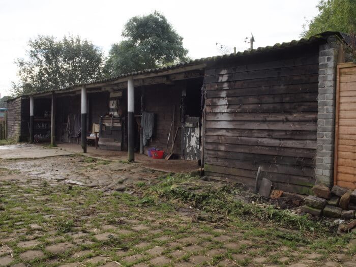 Farm yard picture