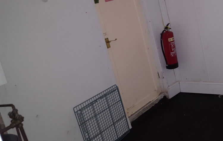 Property with an infestation