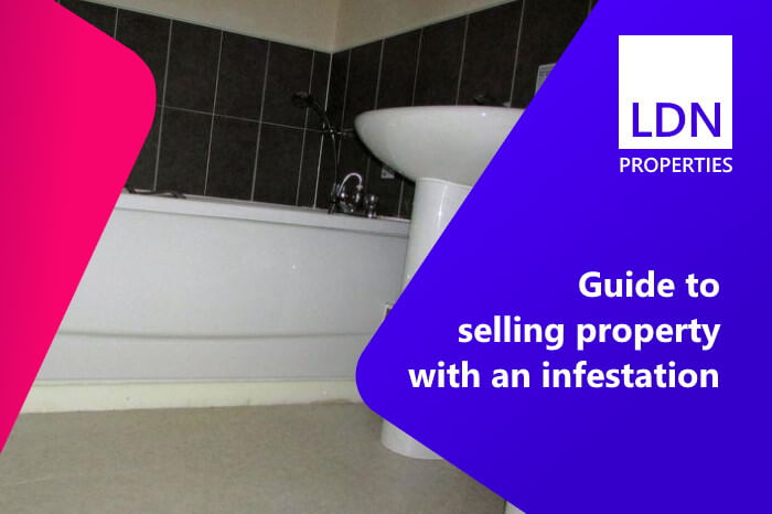 Guide to selling with an infestation