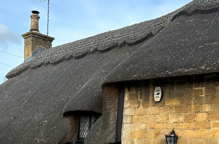 House with thatched roof