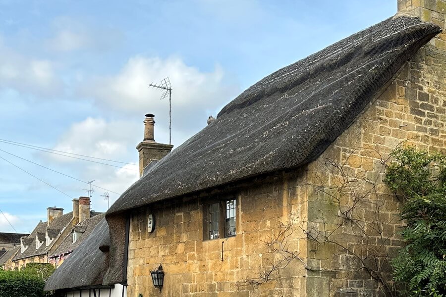 Selling house with thatched roof