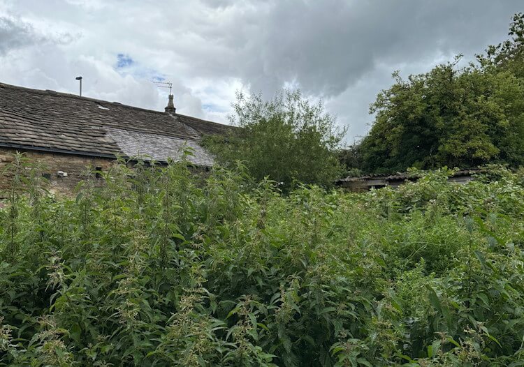 Sell house with overgrown garden