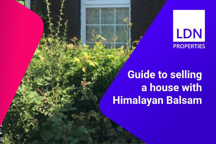 Guide to selling a house with Himalayan Balsam