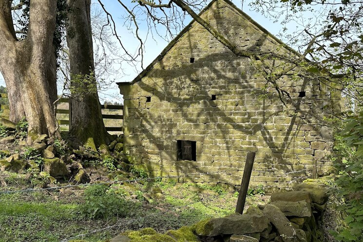 Dilapidated house